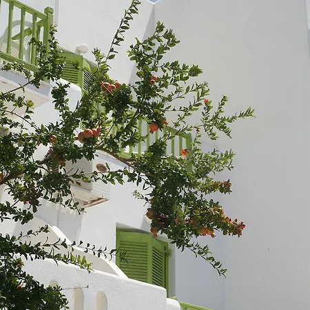 Arandis Inn Accommodation Complex 4*